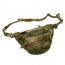Сумка поясная (Ars Arma) Emdom Recon Waist Bag (A-Tacs FG)